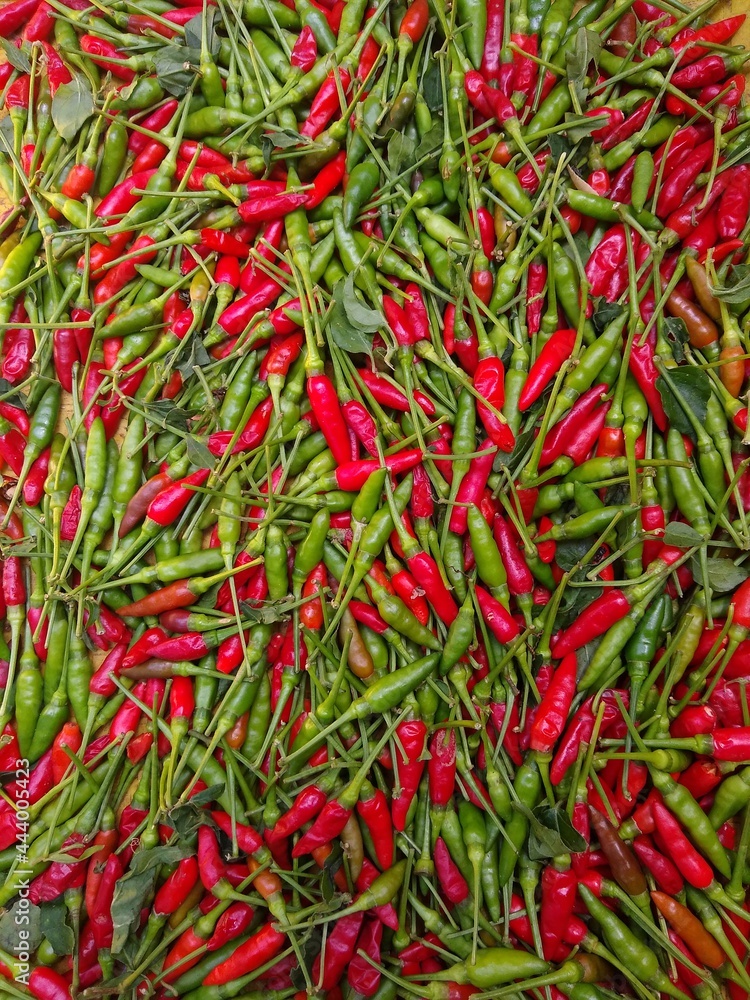 Bird's eye chilli, green and red colour chillies Bird's eye chilli, green and red colour chillies