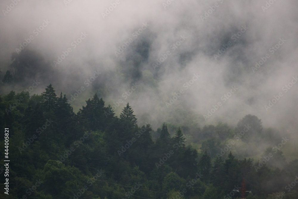 Misty natural scenic view in Romanian Mountains after rain Misty natural scenic view in Romanian Mountains after rain