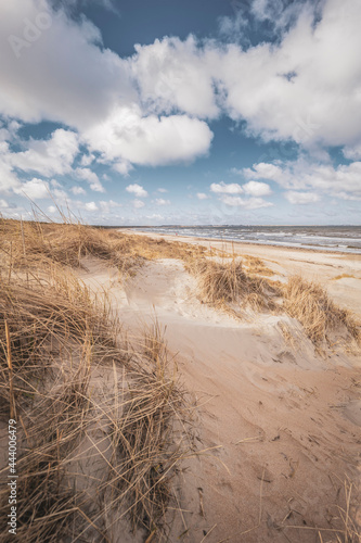 Fototapeta Naklejka Na Ścianę i Meble -  Grassy sand dunes beach