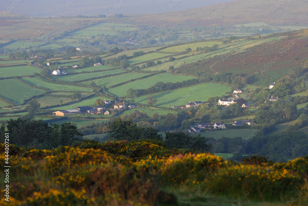 Landscape in Devon, UK