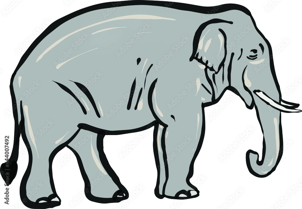 elephant cartoon art isolated vector illustration.