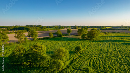 Aerial view with a drone of a spring wavy agricultural countryside landscape with plowed and unplowed fields and trees in the blue evening sky. High quality photo