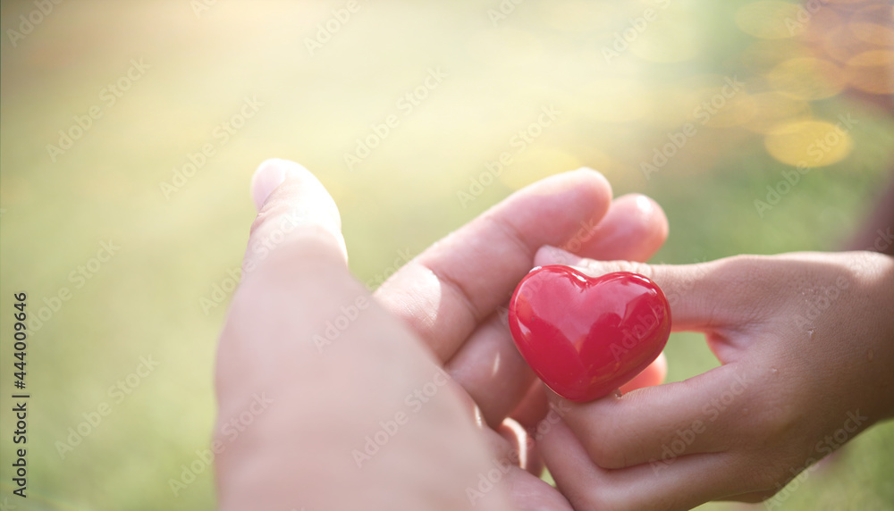 Red heart in two hand father and son. Red heart in two hand father and son.