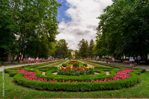 Inowrocław,  miasto, kwietne dywany, kwiaty, 