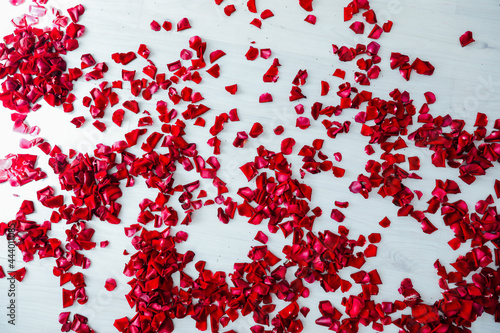 red rose petals on a white wooden background