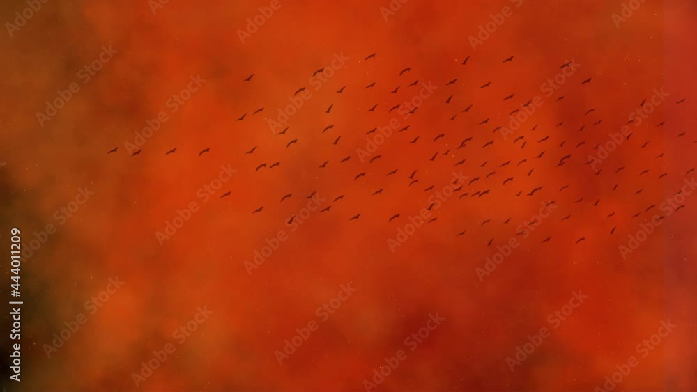 The silhouette of a flock of birds flying through raging wildfires and burning embers. The silhouette of a flock of birds flying through raging wildfires and burning embers.