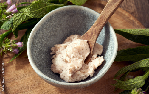 A bowl of comfrey root ointment with fresh symphytum plant