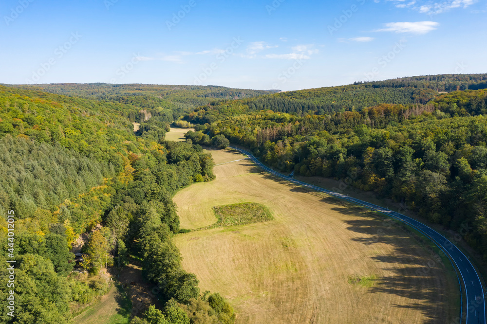 Bird's eye view of a meadow in a wooded area in the Taunus / Germany 