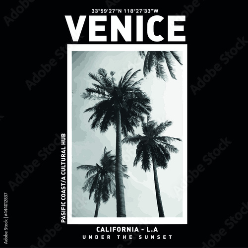 venice palm beach vector