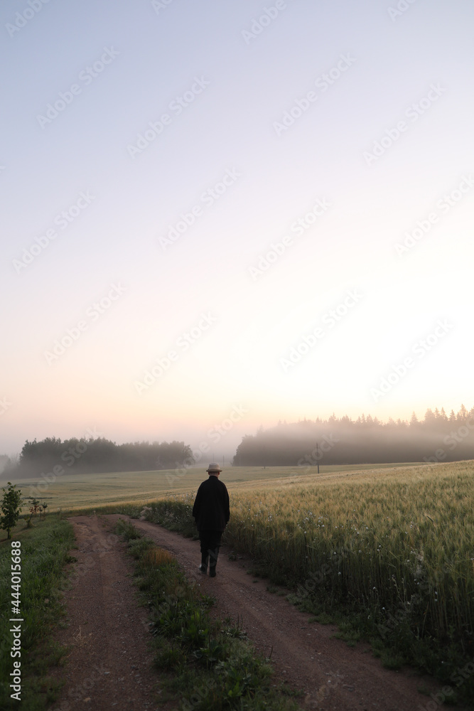 silhouette of a man walking in a scenic countryside landscape at sunrise silhouette of a man walking in a scenic countryside landscape at sunrise