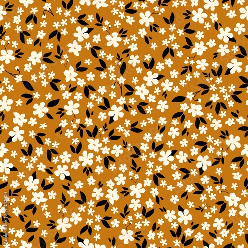 terracotta background, small white flowers ,black leaves