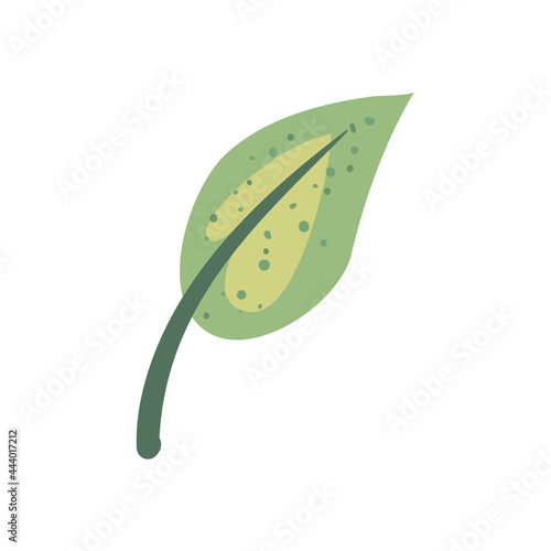 leaf green with branch