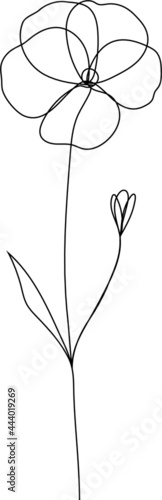 Continuous line violet floral drawing, (Viola) February birth flower, vector