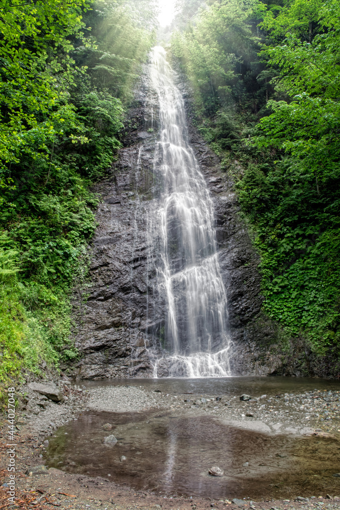 Mountain waterfall and fresh green forest	