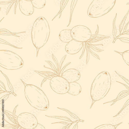 Seamless vector pattern of line hand drawn sea buckthorn berries on light orange background. Design for herbal tea or natural products packaging 