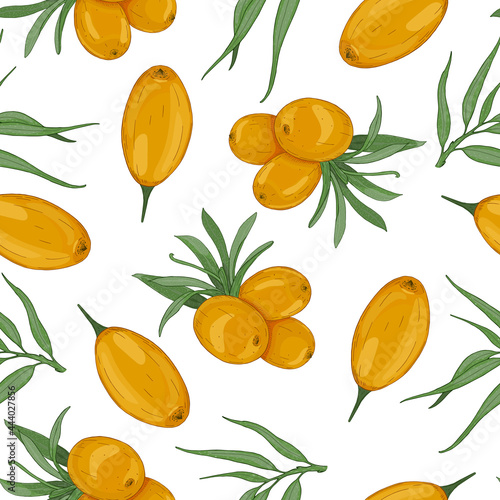 Seamless vector pattern of hand drawn sea buckthorn berries on white background. Design for herbal tea or natural products packaging 