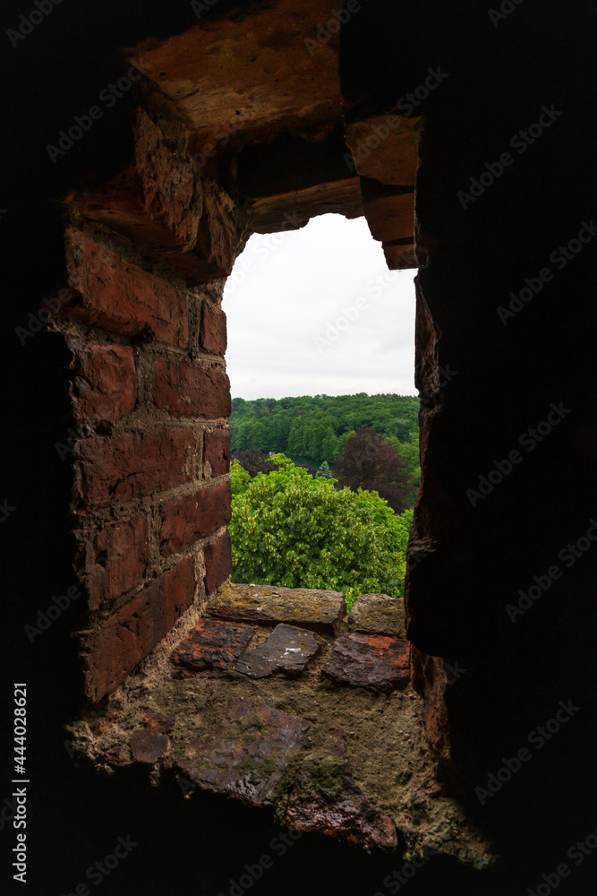 View from the castle tower in Lagow, Poland