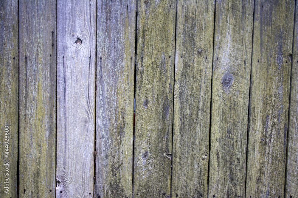 Fototapeta premium old wood background, made from planks on a barn wall
