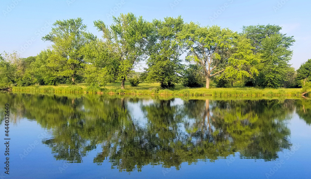 Fototapeta premium Shoreline Scene With Water Reflection