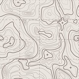 Topographic map. Geographic terrain, vintage old geological contour lines with grid. Seamless pattern topography map vector background. Area with different routes and curves top view