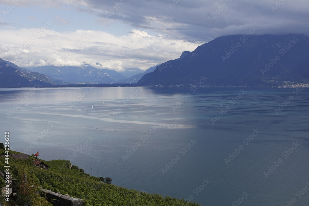 Vue panoramique du côté est du lac Léman en Suisse