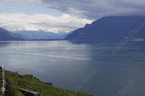 Vue panoramique du c  t   est du lac L  man en Suisse