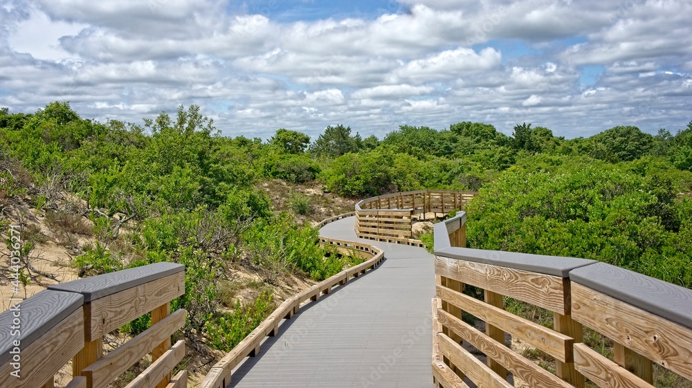 Dune spur of the Hellcat trail in the Parker River Wildlife Refuge in Newburyport, MA. The wildlife refuge is located on Plum Island