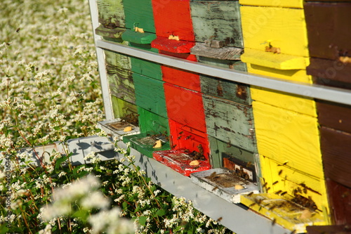 Red apiary on the field. © Primus_1