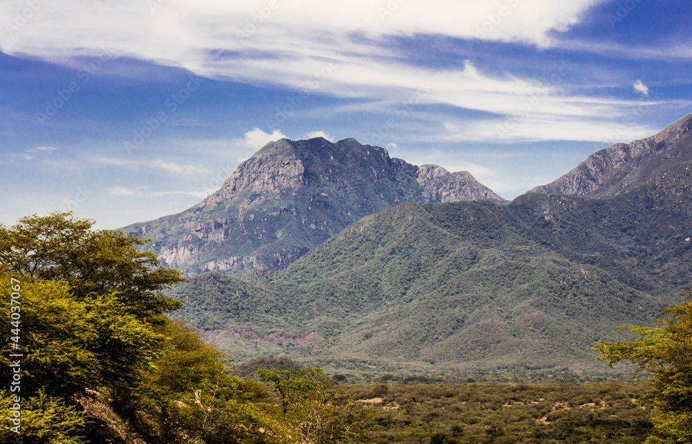 Paisaje Paisaje