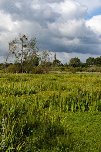 Une église est visible dans le lointain , devant le marais vert et jaune et quelques arbres.