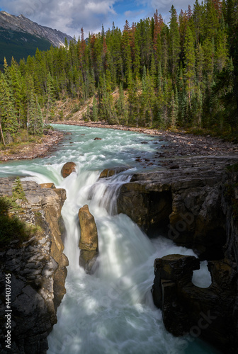 Sunwapta Falls Jasper Alberta vertical. Water pours over Sunwapta Falls. Jasper National Park. Alberta  Canada.  