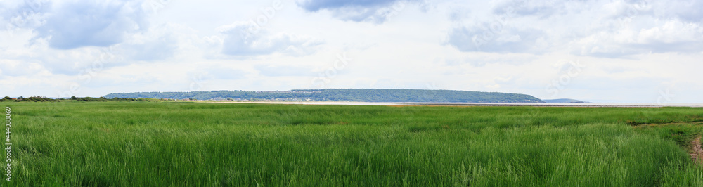 Salt marsh coastal wetland, Weston-Super-Mare, UK. Panoramic landscape