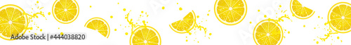 Horizontal Banner with Juicy Lemon Slices