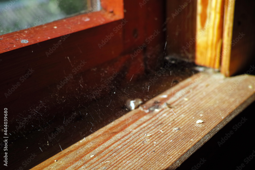 dirty window sill dirty window sill