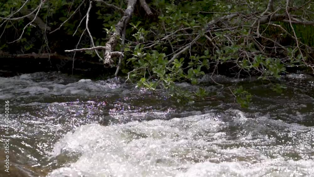 River flowing in slow motion 