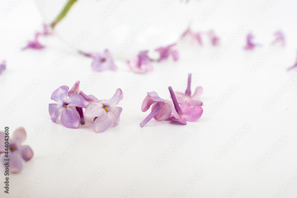 The beautiful lilac on a wooden background The beautiful lilac on a wooden background