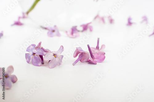 Fototapeta Naklejka Na Ścianę i Meble -  The beautiful lilac on a wooden background