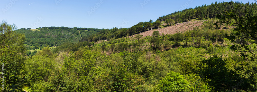 Cwmcarn Forest Mountains. Welsh Valleys Landscape.