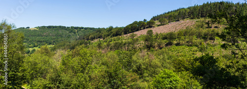 Cwmcarn Forest Mountains. Welsh Valleys Landscape.