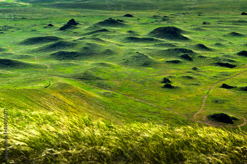 Grünes Steppengras in der Mongolei, Zentralasien
