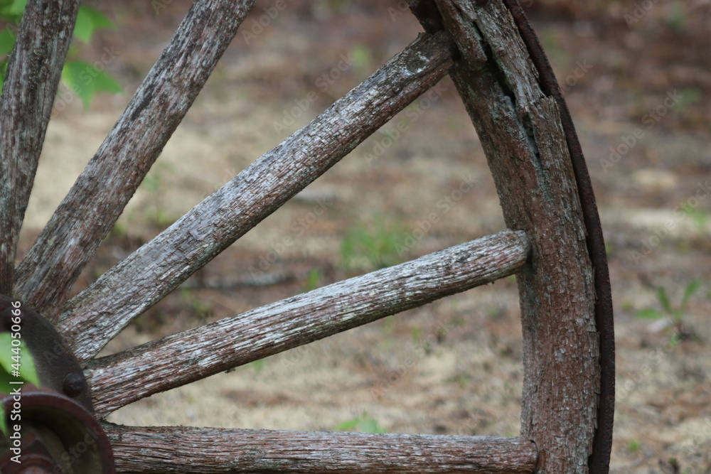 Old Part of Horse Drawn Wagon Wheel Carriage Rusty Antique Abandoned in Desert with Overgrowth Old Part of Horse Drawn Wagon Wheel Carriage Rusty Antique Abandoned in Desert with Overgrowth
