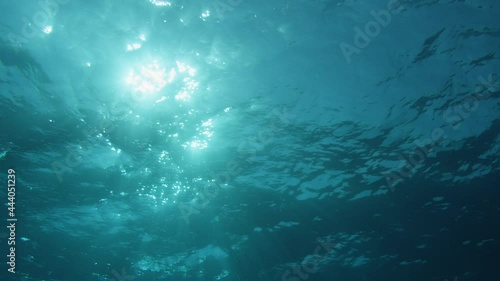 Wallpaper Mural Sun beams penetrating wavy ocean surface. Ocean background light shafts VFX element. Underwater tropical marine footage. Diving, snorkeling paradise. Summer vacation destination. Ocean VFX elements.  Torontodigital.ca