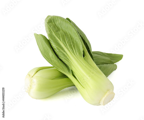 Fresh bok choy vegetable fresh (chinese cabbage) isolated on white background