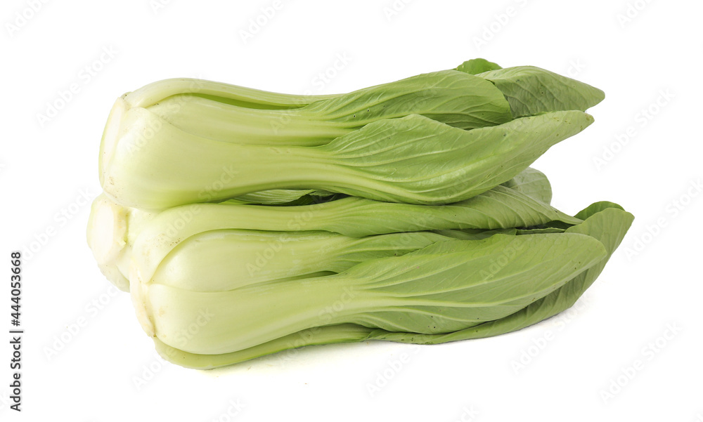 Fresh bok choy vegetable fresh (chinese cabbage) isolated on white background Fresh bok choy vegetable fresh (chinese cabbage) isolated on white background