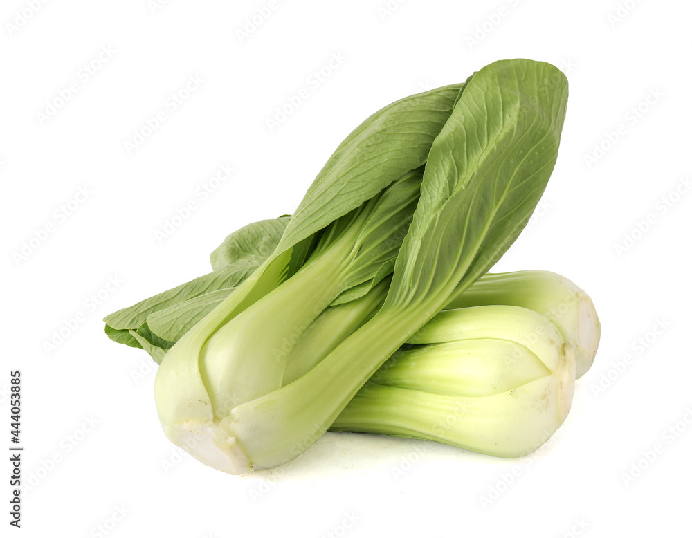 Fresh bok choy vegetable fresh (chinese cabbage) isolated on white background Fresh bok choy vegetable fresh (chinese cabbage) isolated on white background