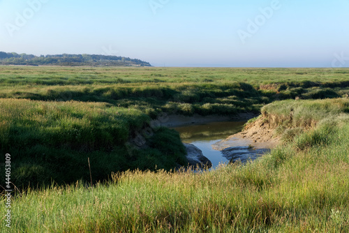 Fototapeta Naklejka Na Ścianę i Meble -  Maye river in the bay of the Somme