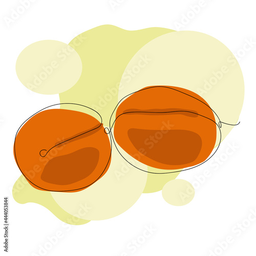 Vector illustration. Two apricots drawn in one continuous line and colored abstract spots on a white background. The illustration is suitable for printing on a T-shirt, advertising food products.