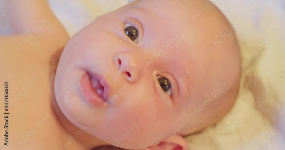 portrait of contemporary cute little curious newborn baby with attentive look.extreme close-up. portrait of contemporary cute little curious newborn baby with attentive look.extreme close-up.