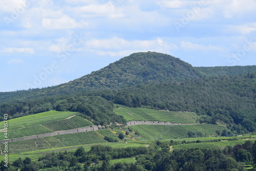 Mühlenberg über dem Ahrtal photo