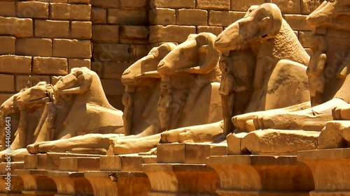 A group of sphinx located at Karnak Temple in Egypt.